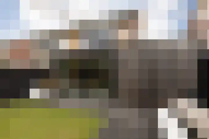 Meerkoetlaan 8 Sneek thumbnail 33