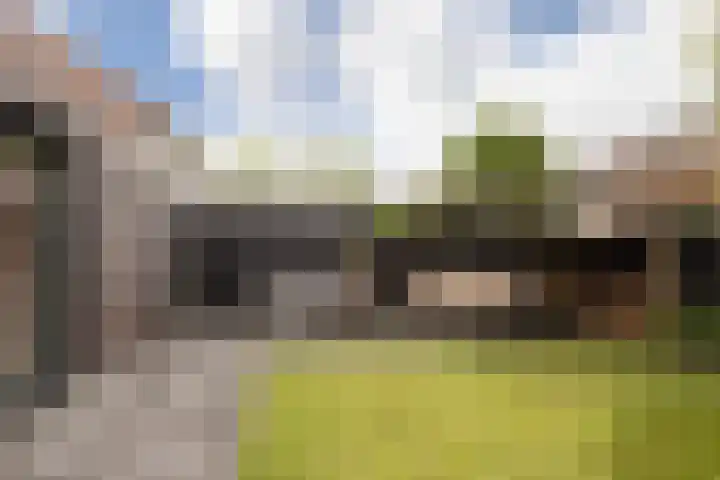 Meerkoetlaan 8 Sneek thumbnail 34