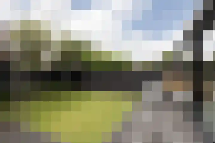 Meerkoetlaan 8 Sneek thumbnail 35
