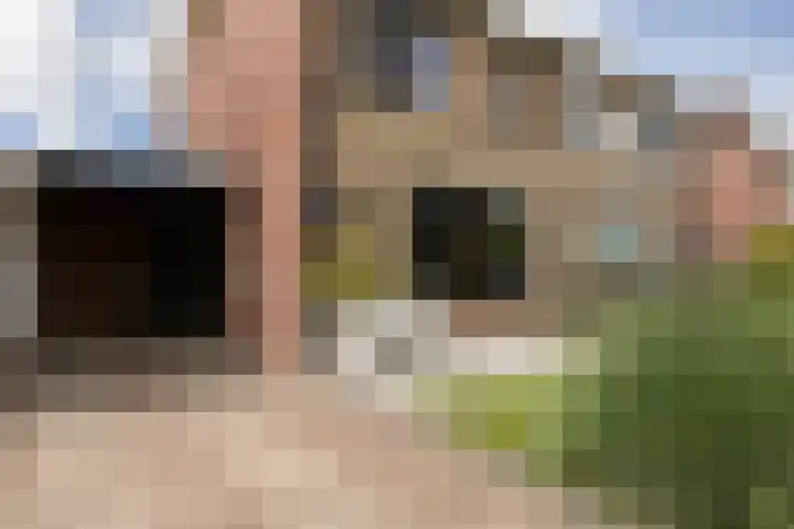 Meerkoetlaan 8 Sneek thumbnail 38
