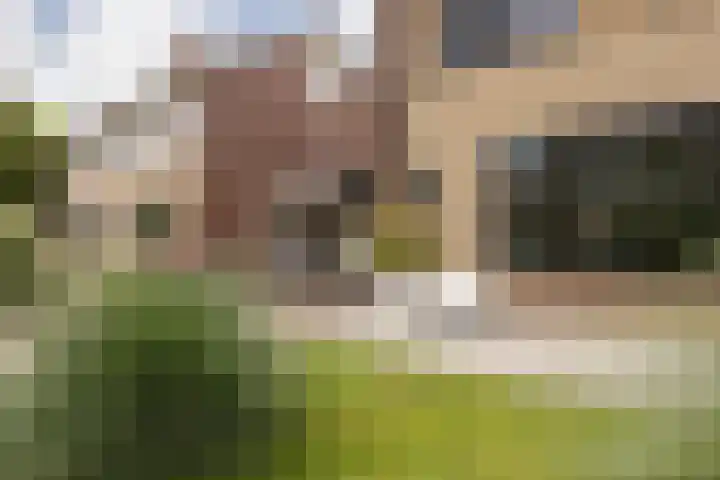 Meerkoetlaan 8 Sneek thumbnail 39