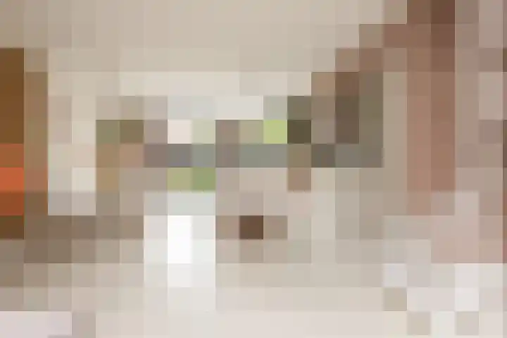 Meerkoetlaan 8 Sneek thumbnail 4
