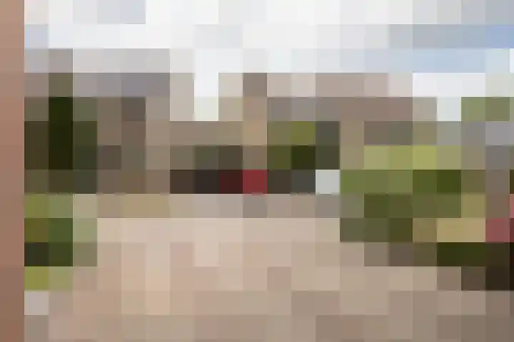 Meerkoetlaan 8 Sneek thumbnail 41