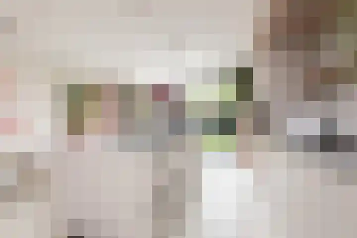 Meerkoetlaan 8 Sneek thumbnail 5