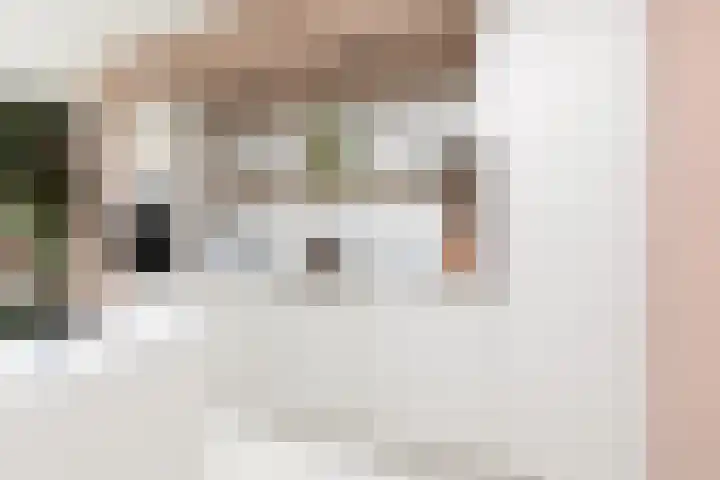 Meerkoetlaan 8 Sneek thumbnail 6