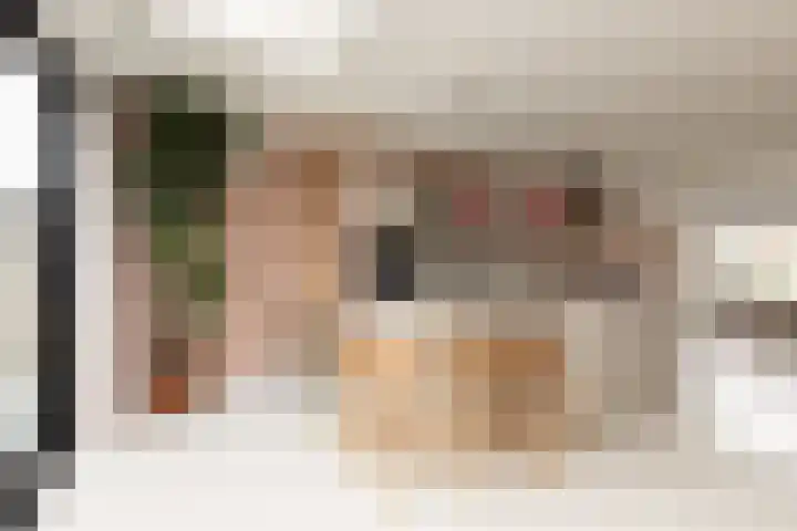 Meerkoetlaan 8 Sneek thumbnail 8