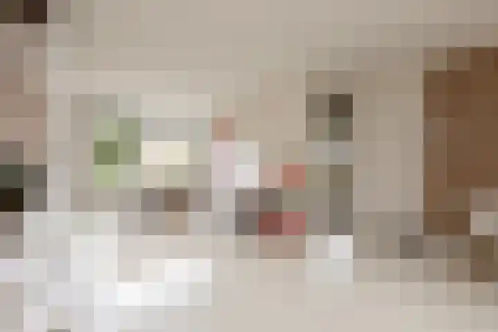 Meerkoetlaan 8 Sneek thumbnail 9