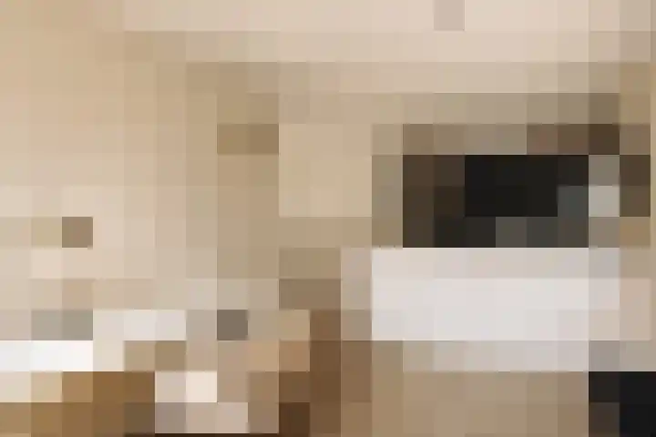 Meerkoetlaan 84 Vinkeveen thumbnail 10