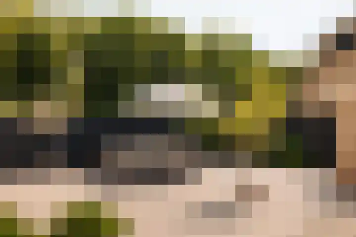 Meerkoetlaan 84 Vinkeveen thumbnail 14