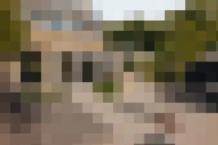 Meerkoetlaan 84 Vinkeveen thumbnail 15
