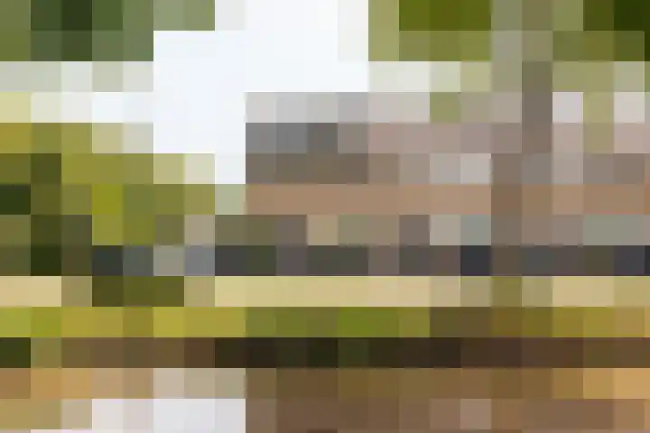 Meerkoetlaan 84 Vinkeveen thumbnail 30