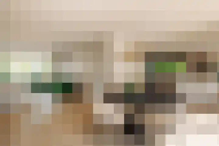 Meerkoetlaan 84 Vinkeveen thumbnail 4