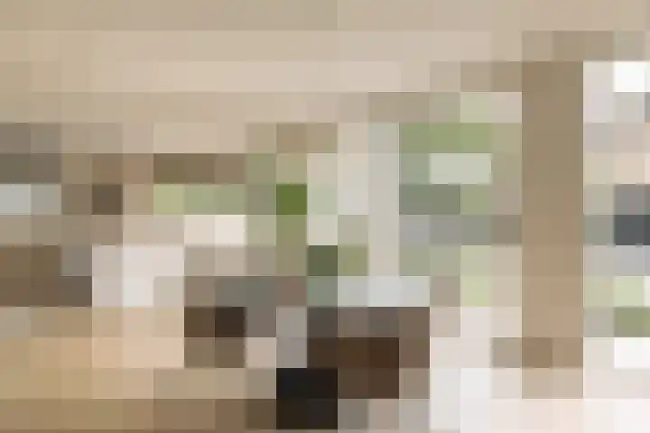 Meerkoetlaan 84 Vinkeveen thumbnail 6