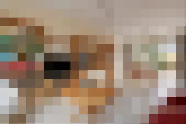 Meerkoetlaan 91 Beuningen Gld thumbnail 12