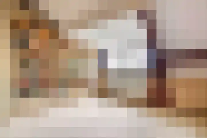 Meerkoetlaan 91 Beuningen Gld thumbnail 27