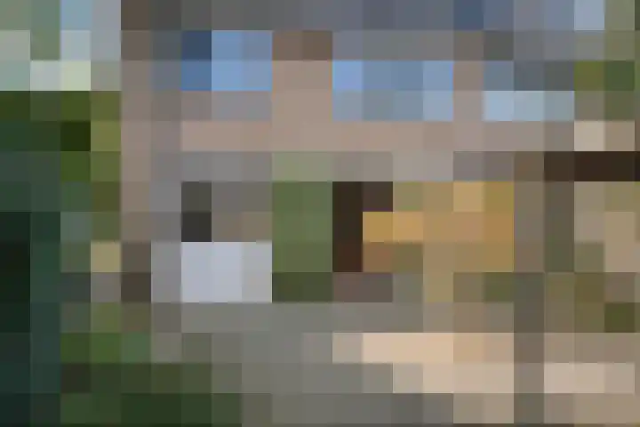 Meerkoetlaan 91 Beuningen Gld thumbnail 30