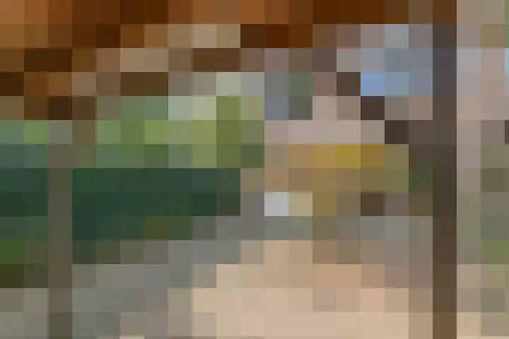 Meerkoetlaan 91 Beuningen Gld thumbnail 31