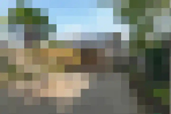 Meerkoetlaan 91 Beuningen Gld thumbnail 32
