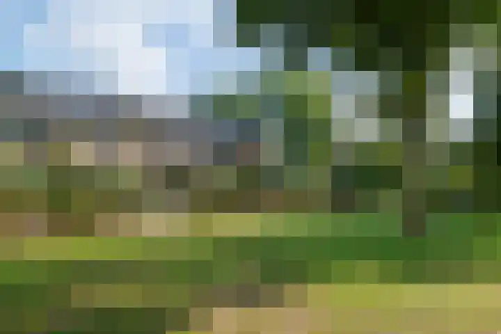 Meerkoetlaan 91 Beuningen Gld thumbnail 33
