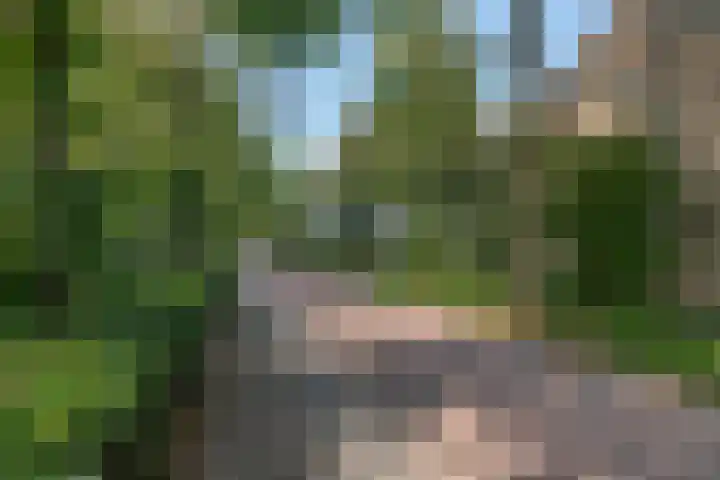 Meerkoetlaan 91 Beuningen Gld thumbnail 35