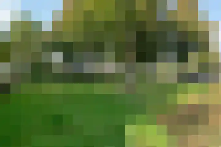 Meerkoetlaan 91 Beuningen Gld thumbnail 36