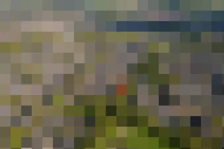 Meerkoetlaan 91 Beuningen Gld thumbnail 39