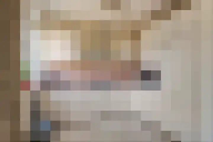 Meerkoetlaan 91 Beuningen Gld thumbnail 7