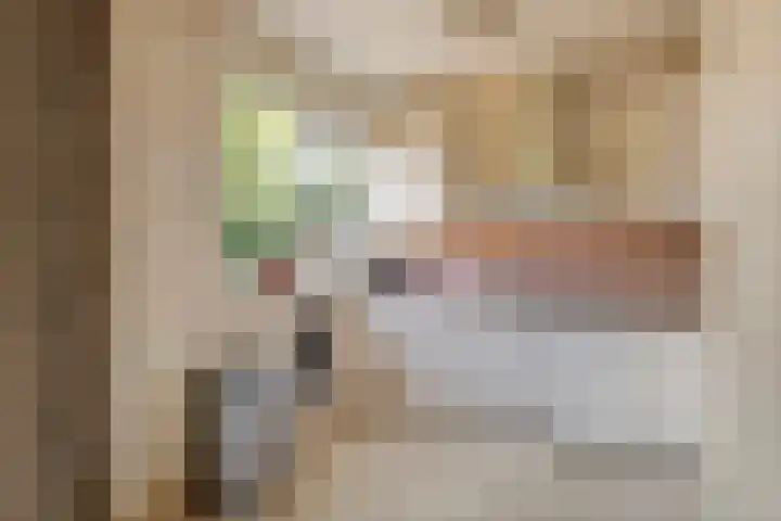 Meerkoetlaan 91 Beuningen Gld thumbnail 8