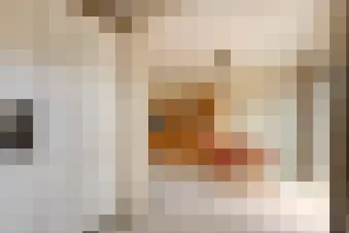 Meerkoetlaan 91 Beuningen Gld thumbnail 9