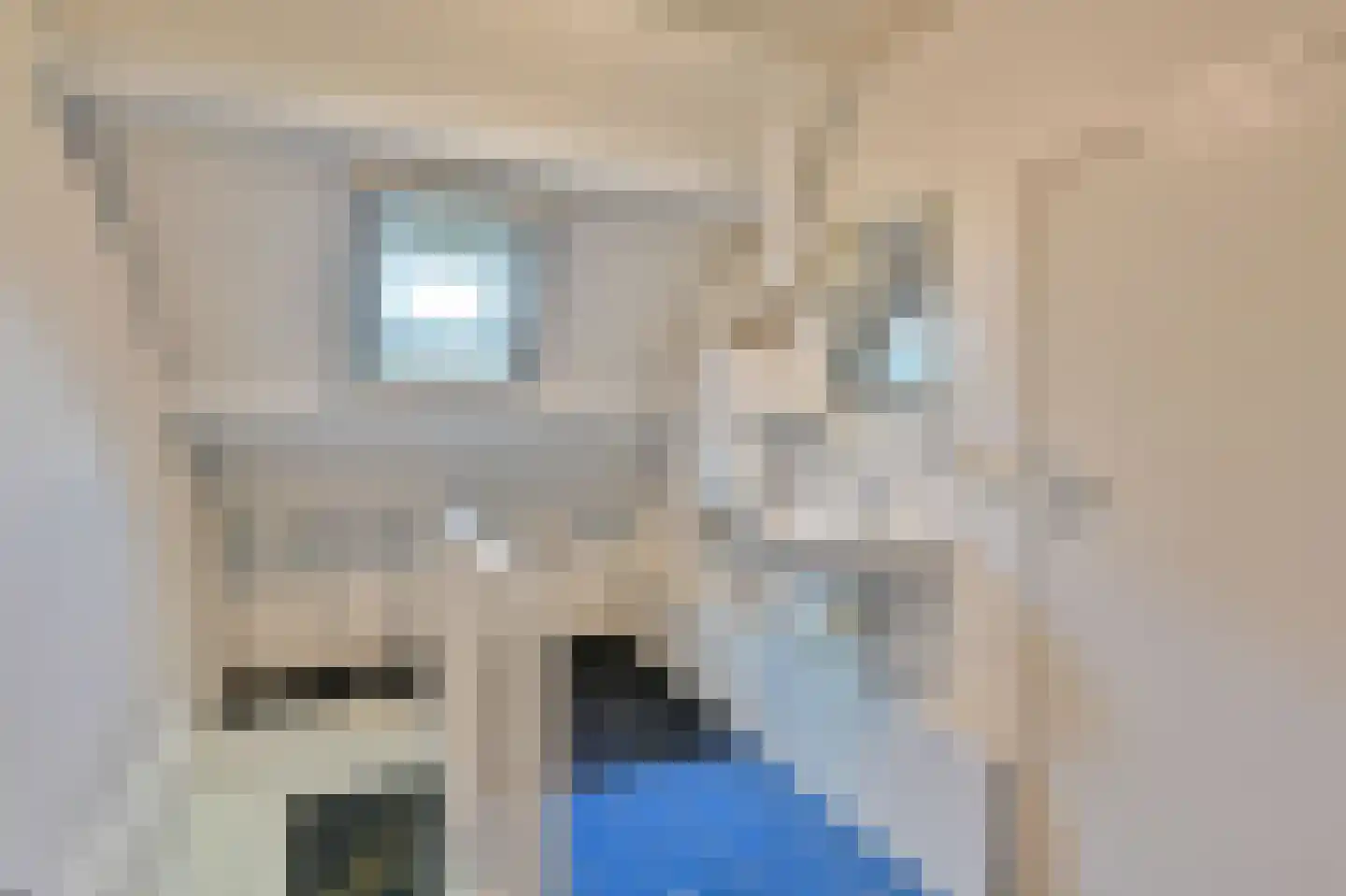 Meerkoetlaan 93 Vinkeveen thumbnail 20