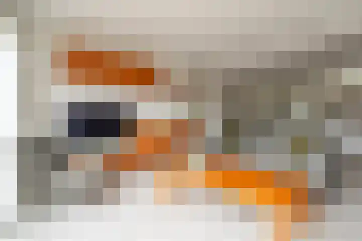Meerkoetmeen 24 Harderwijk thumbnail 11