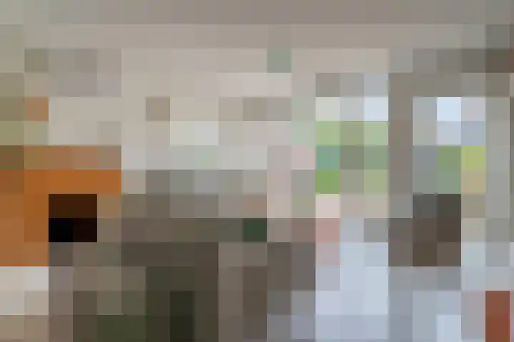 Meerkoetmeen 24 Harderwijk thumbnail 13
