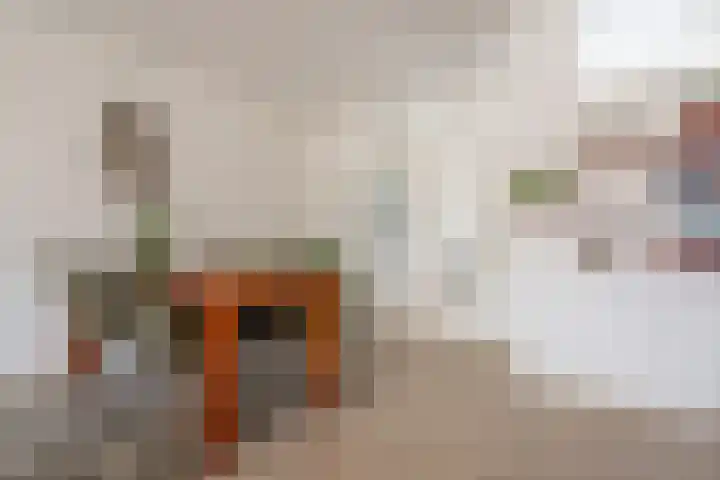 Meerkoetmeen 24 Harderwijk thumbnail 15