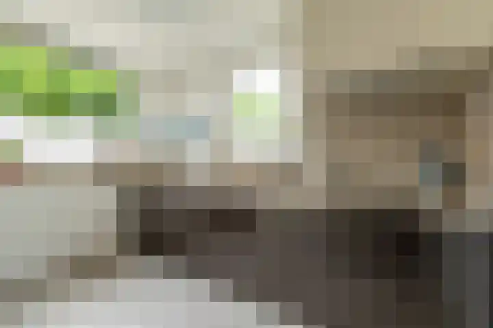 Meerkoetmeen 24 Harderwijk thumbnail 18