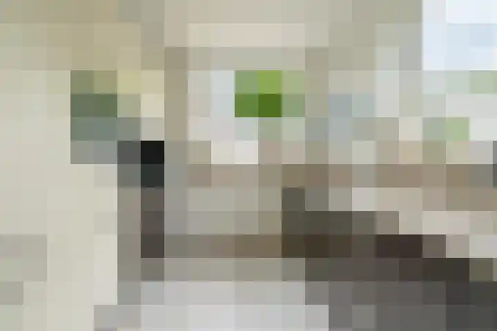 Meerkoetmeen 24 Harderwijk thumbnail 19