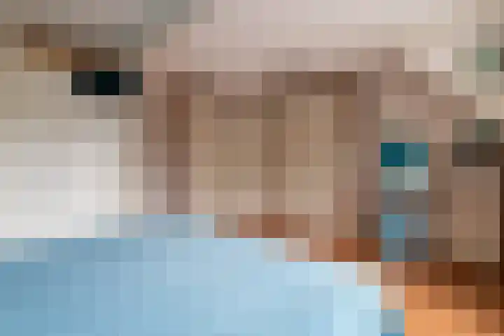 Meerkoetmeen 24 Harderwijk thumbnail 24