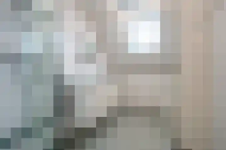 Meerkoetmeen 24 Harderwijk thumbnail 28
