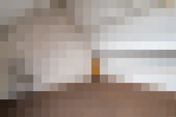Meerkoetmeen 24 Harderwijk thumbnail 31