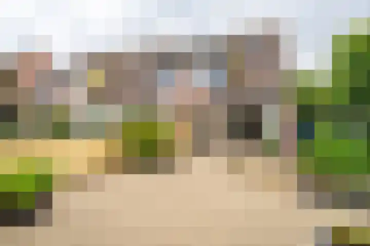 Meerkoetmeen 24 Harderwijk thumbnail 33