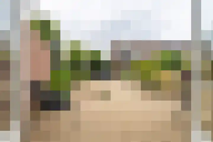 Meerkoetmeen 24 Harderwijk thumbnail 35