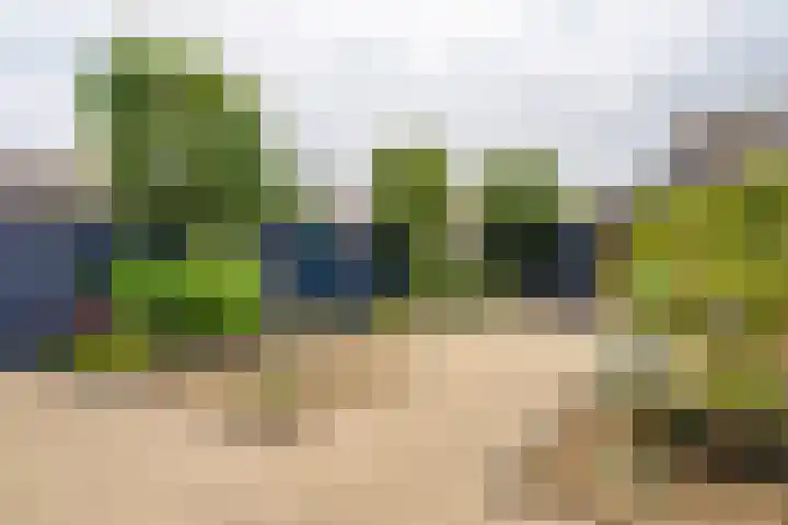 Meerkoetmeen 24 Harderwijk thumbnail 36