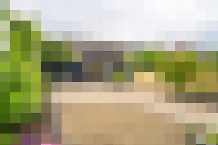 Meerkoetmeen 24 Harderwijk thumbnail 37