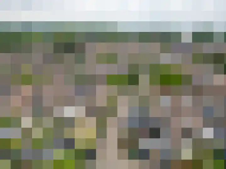 Meerkoetmeen 24 Harderwijk thumbnail 4