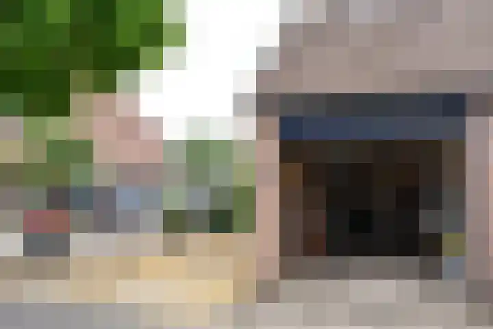 Meerkoetmeen 24 Harderwijk thumbnail 42