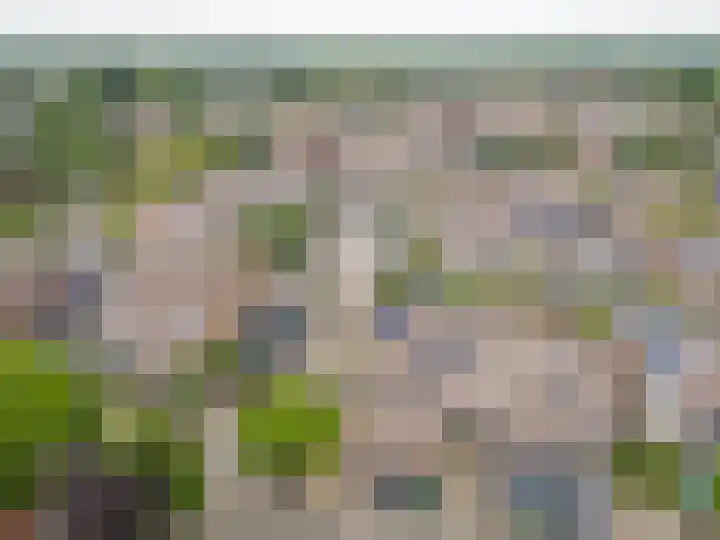 Meerkoetmeen 24 Harderwijk thumbnail 43