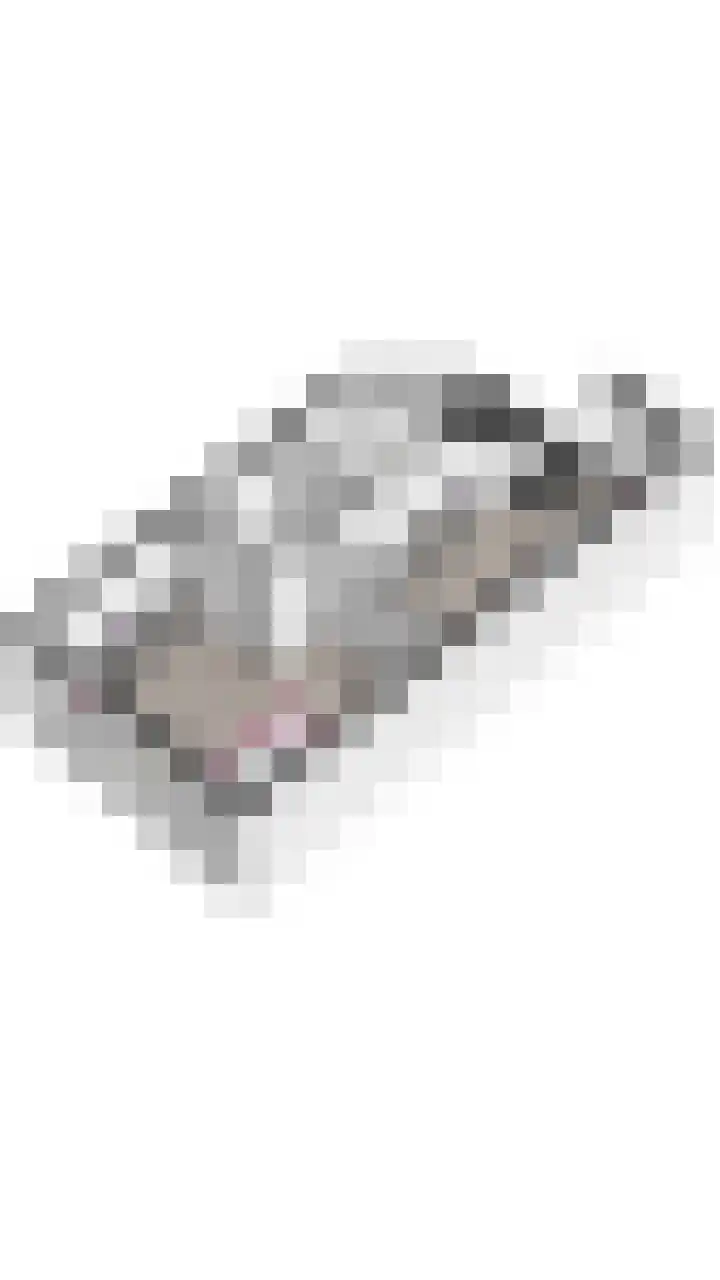 Meerkoetmeen 24 Harderwijk thumbnail 48
