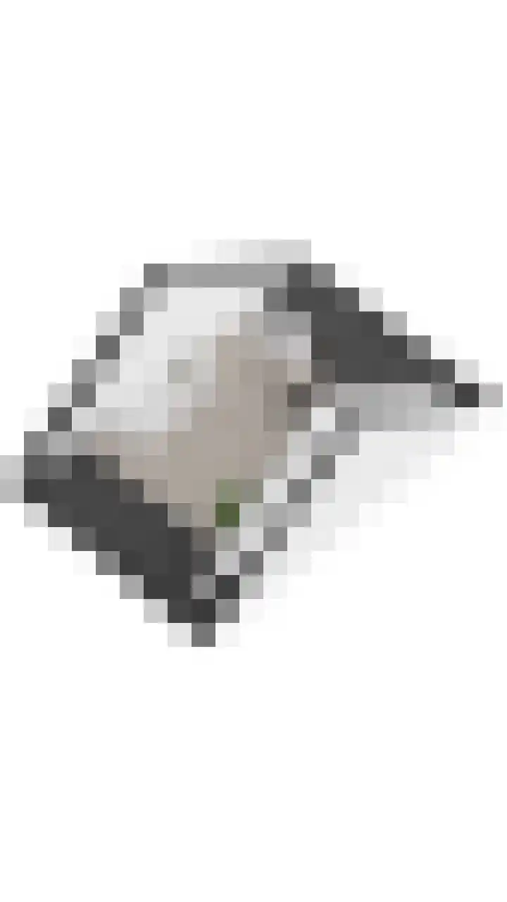 Meerkoetmeen 24 Harderwijk thumbnail 49