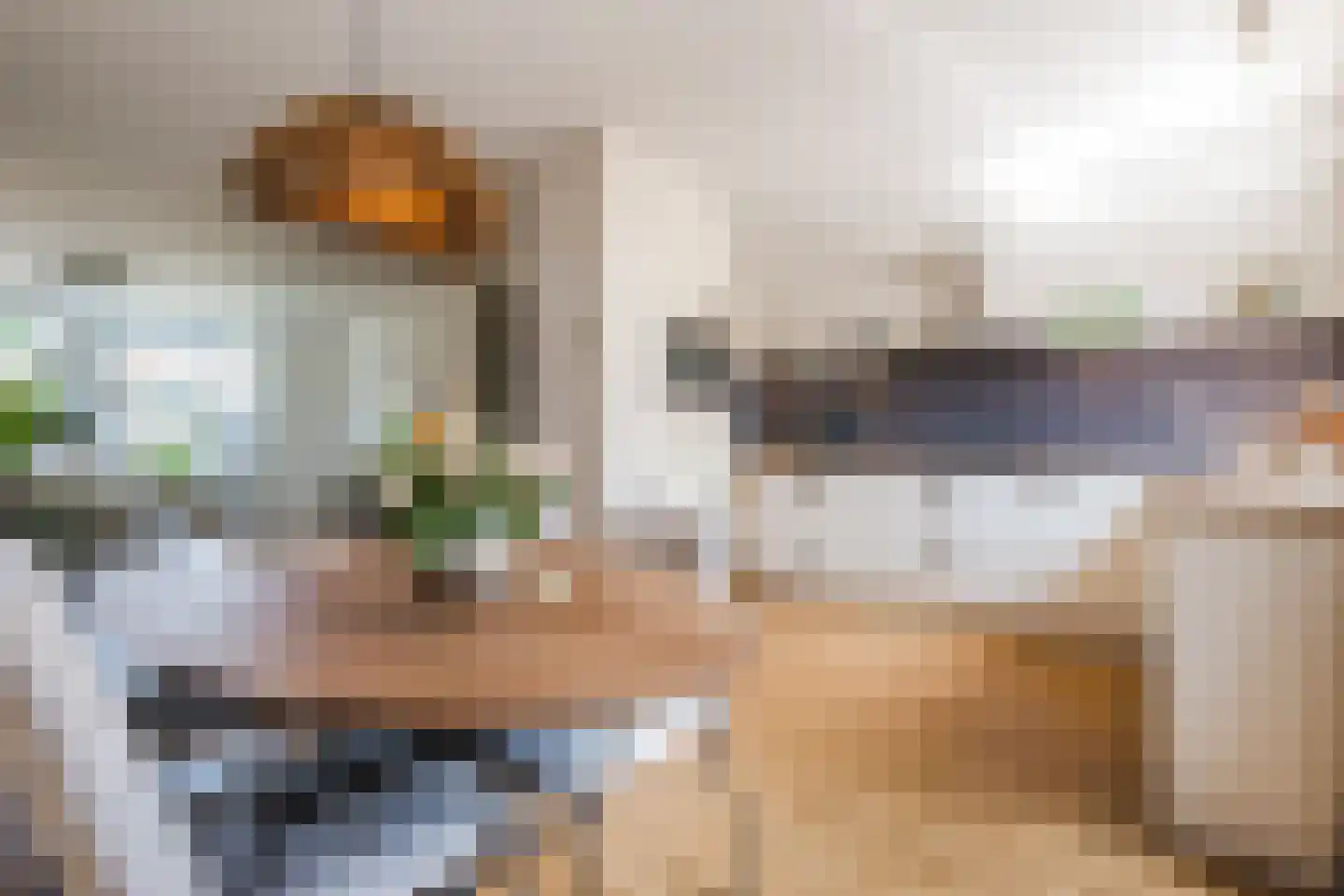 Meerkoetmeen 28 Harderwijk thumbnail 15