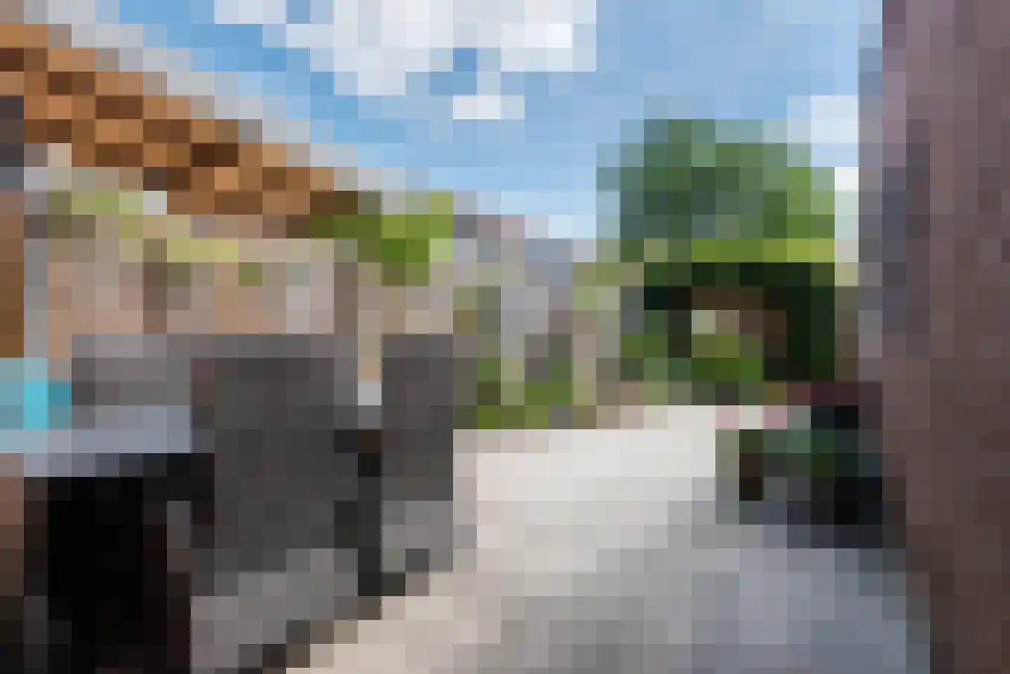 Meerkoetmeen 28 Harderwijk thumbnail 39