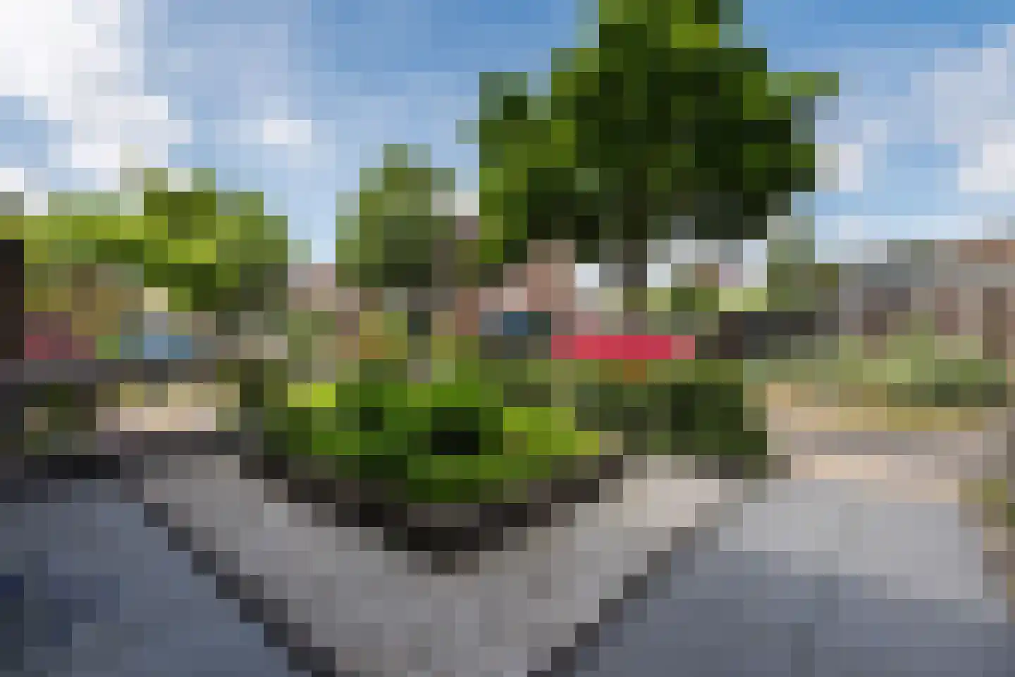 Meerkoetmeen 28 Harderwijk thumbnail 46